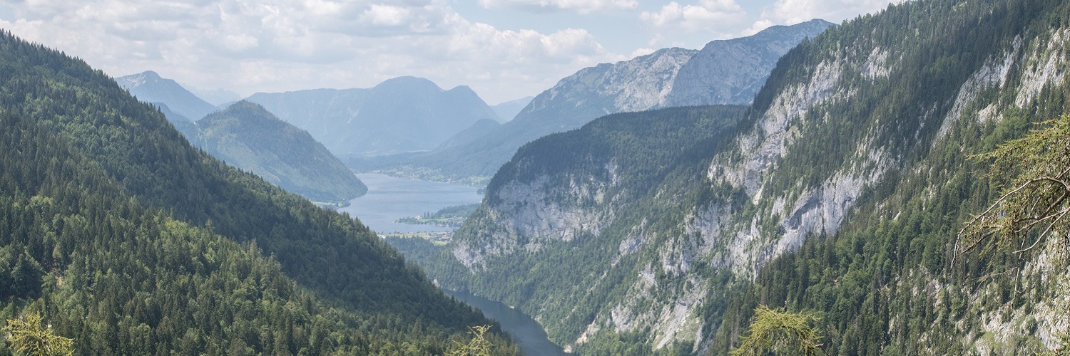 Fairnetz - das faire Anbieterverzeichnis für das Bundesland Steiermark